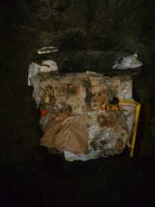 Bottom layer of a contaminated recycling bin. 